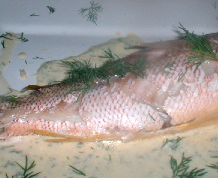 cooked snapper