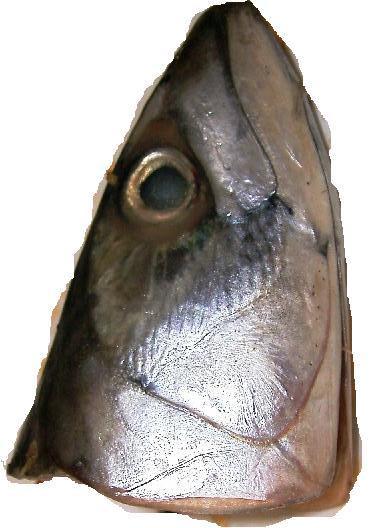 fish head