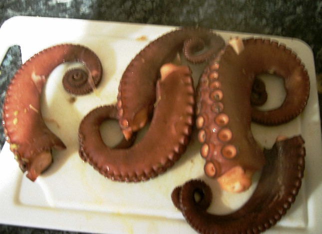 http://www.roshani.co.uk/livingtoeat/wp-content/uploads/2007/07/octopus-tentacles-cooked.JPG