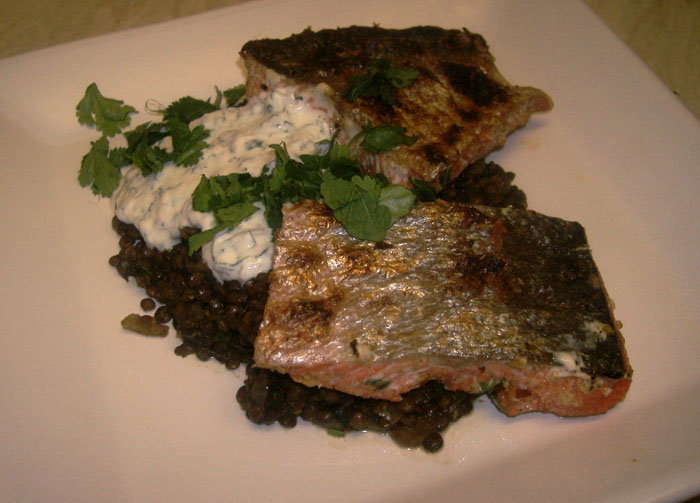 salmon, puy lentils, yoghurt